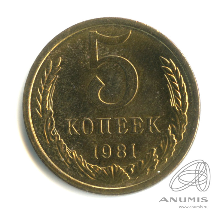5 копеек 1981 — Оригинальный штемпельный блеск. Cu/Zn. о/с - шт. А (цифра номинала и венок отдалены от выступающего канта монеты, Федорин-131 1981