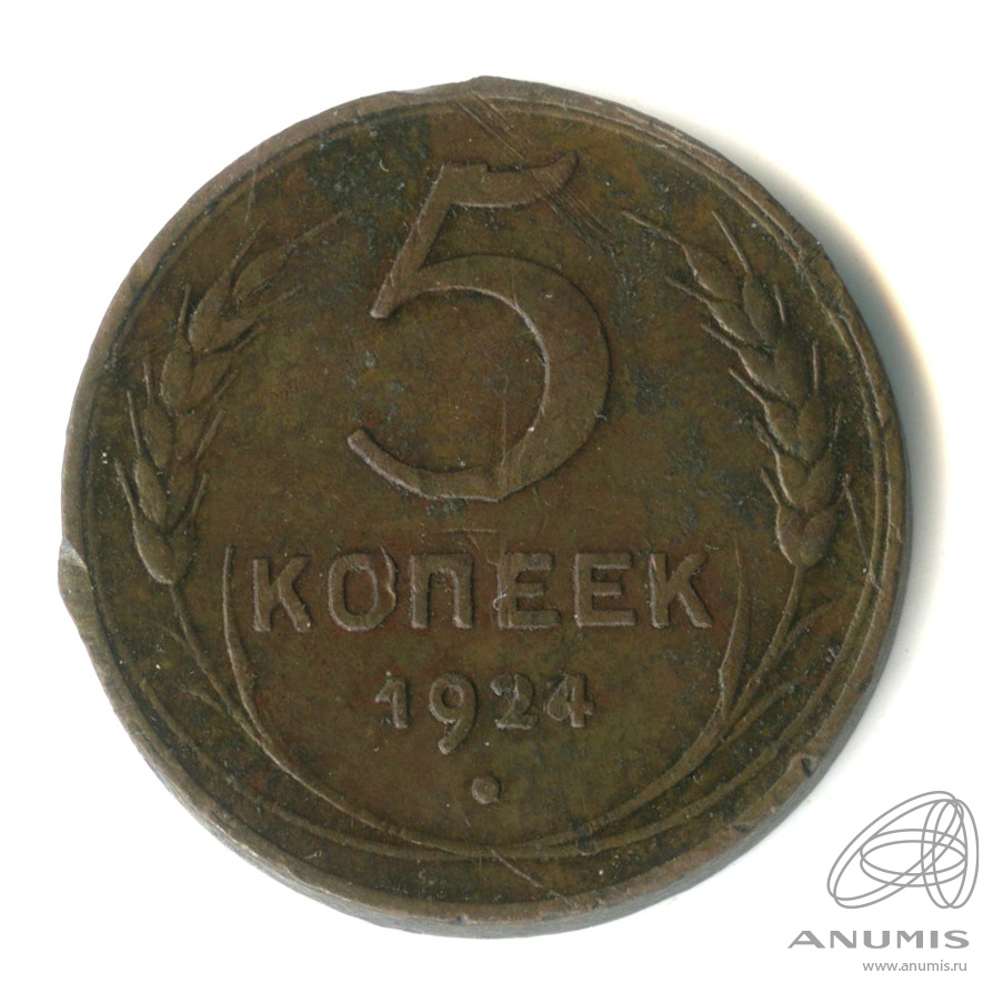 5 копеек 1924 — Гурт гладкий. На Николаевском кружке. Земной шар выпуклый (Земной шар выпуклый)
