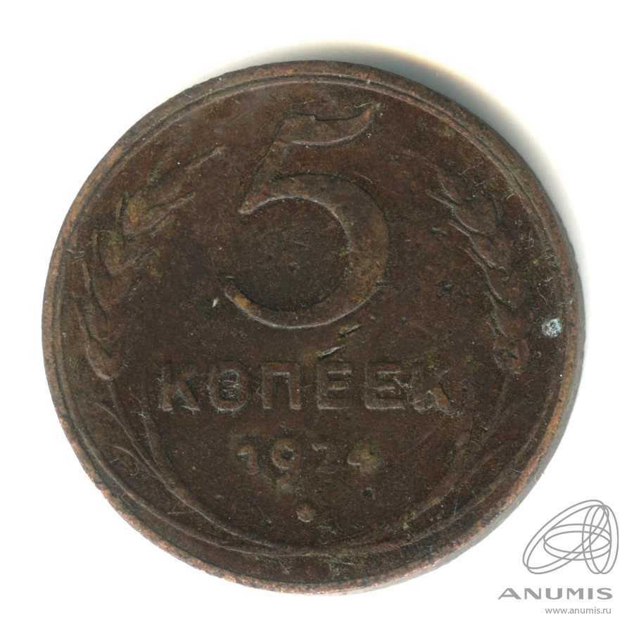 5 копеек 1924 — Гурт гладкий. На Николаевском кружке. Земной шар выпуклый (Земной шар выпуклый)