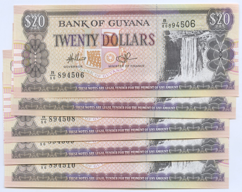 Набор купюр. Купюры Guyana. Гайана 20 долларов. Купюра банк оф Guyana 20. Банкноты и боны Гайаны.