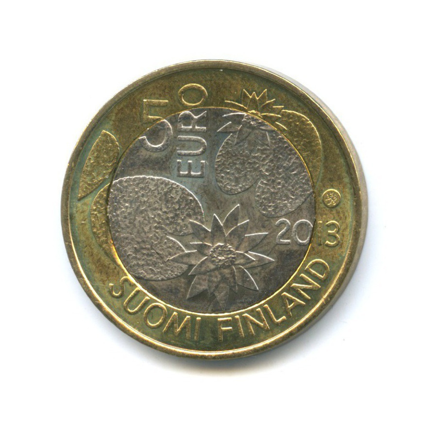 N euro