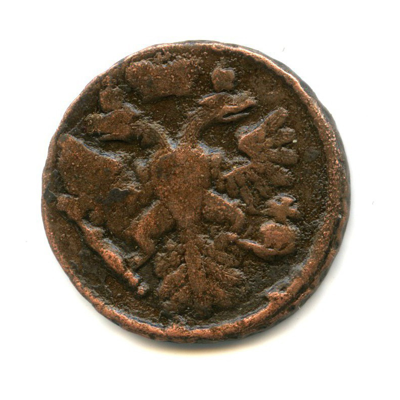 Деньга (½ копейки) 1737 — 1/2 копейки (Орел 1730 г.)