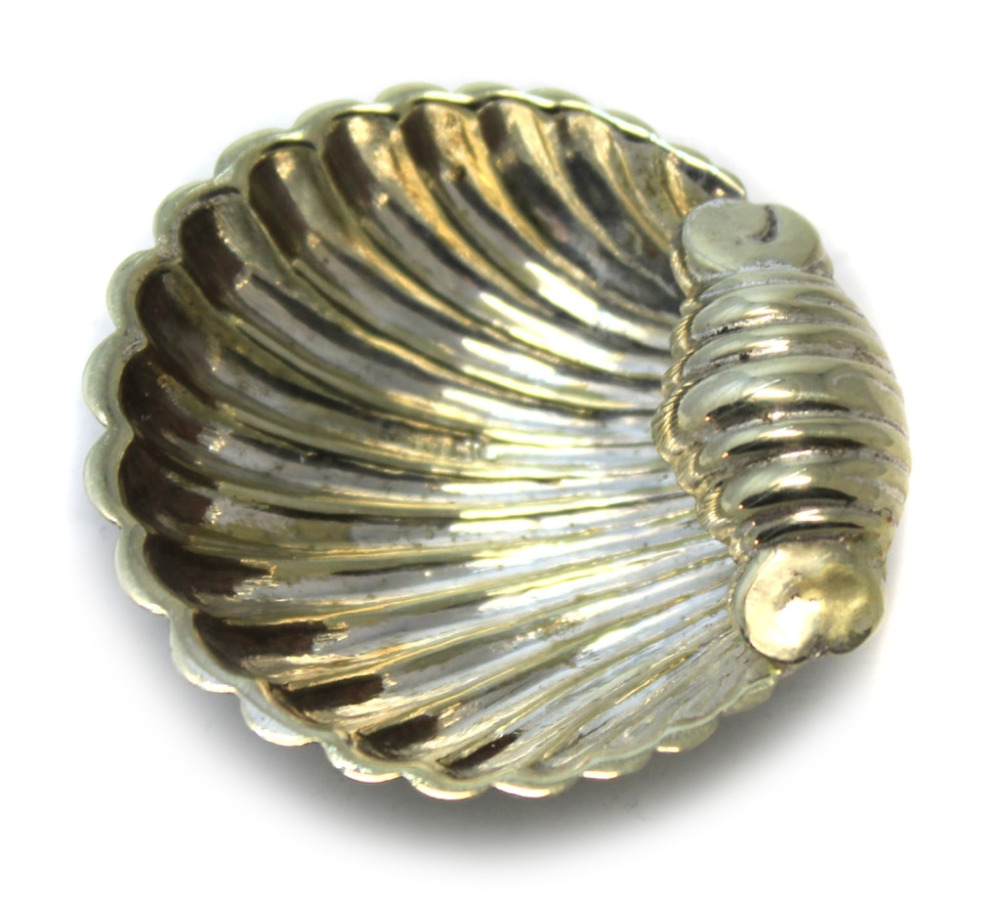 ракушка 5. ракушка 5. ракушка плоская. ракушка 5. ракушки декор.