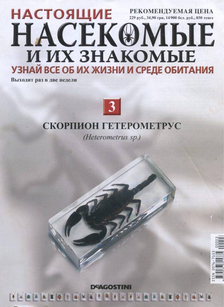 Насекомые и их знакомые 3 выпуск Насекомые и их знакомые 3 выпуск