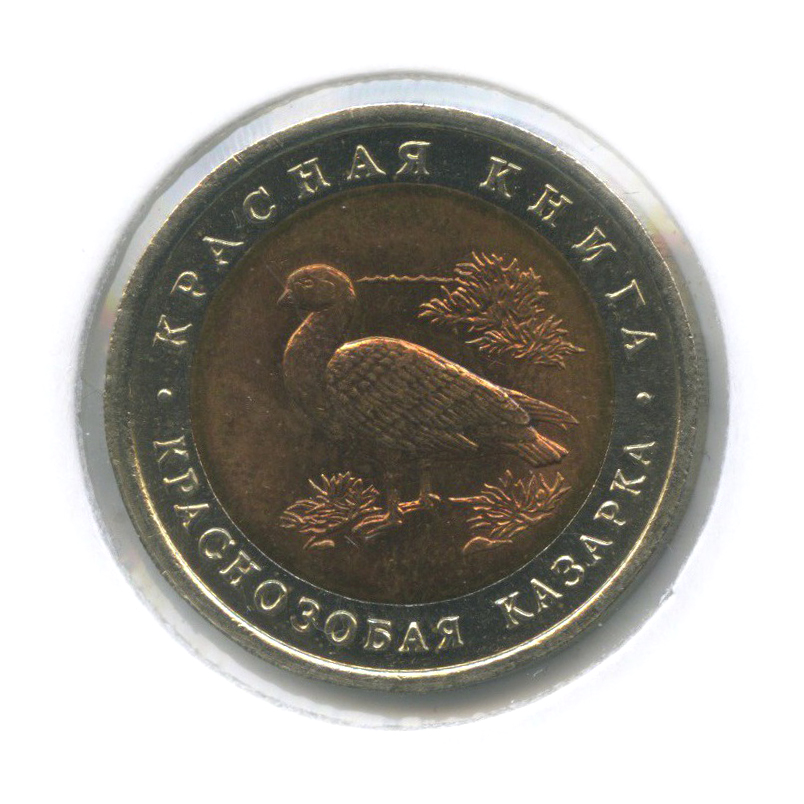 10 рублей 1992 ЛМД — Краснозобая казарка. Красная книга (в холдере)