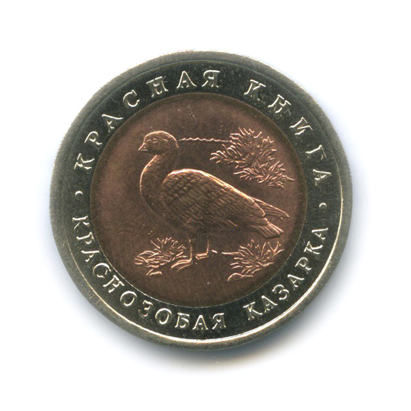 10 рублей 1992 ЛМД — Краснозобая казарка. Красная книга