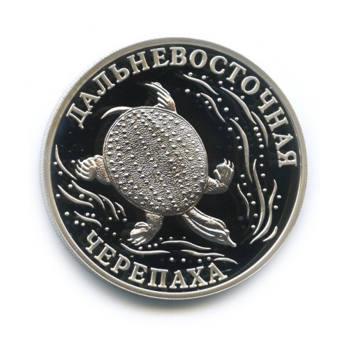 1 рубль — Дальневосточная черепаха. Красная книга. 2003