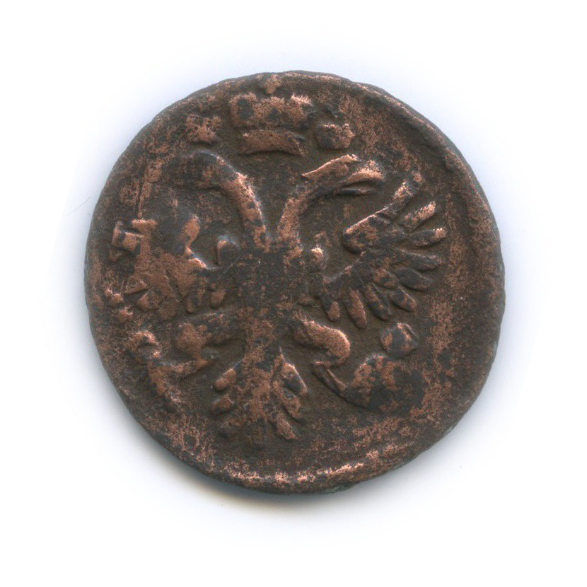Деньга (½ копейки) 1731 — (½ копейки), перечекан из петровской копейки (Орел 1730 г.)