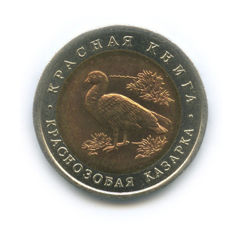 10 рублей 1992 ЛМД — Краснозобая казарка. Красная книга