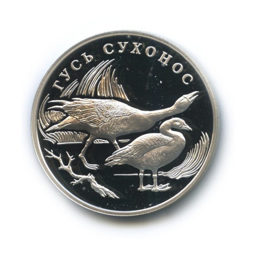 1 рубль — Гусь сухонос. Красная книга. 2006