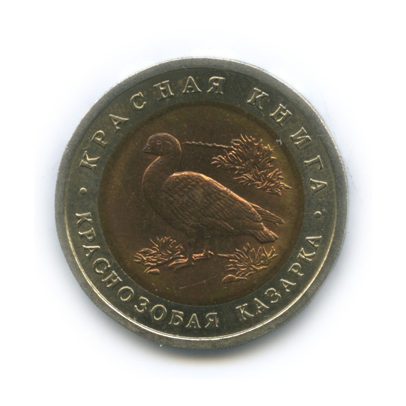 10 рублей 1992 ЛМД — Краснозобая казарка. Красная книга