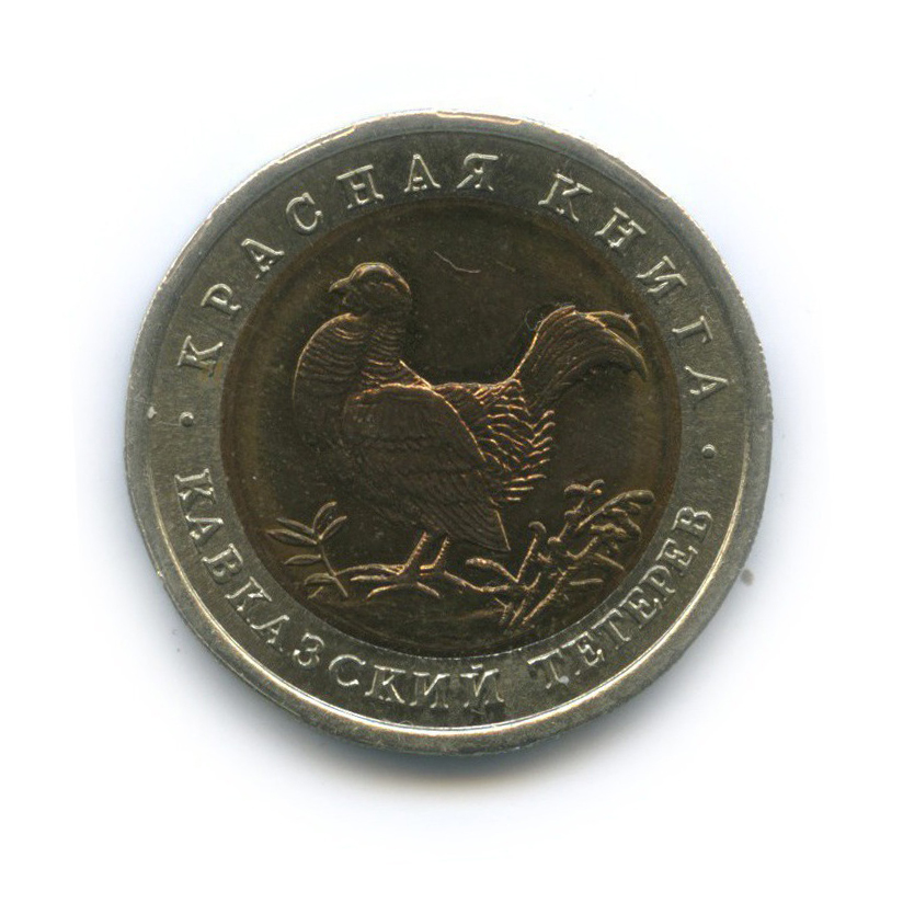 50 рублей 1993 ЛМД — Кавказский тетерев. Красная книга