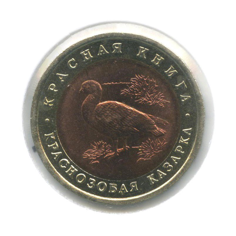 10 рублей 1992 ЛМД — Краснозобая казарка. Красная книга (в холдере)