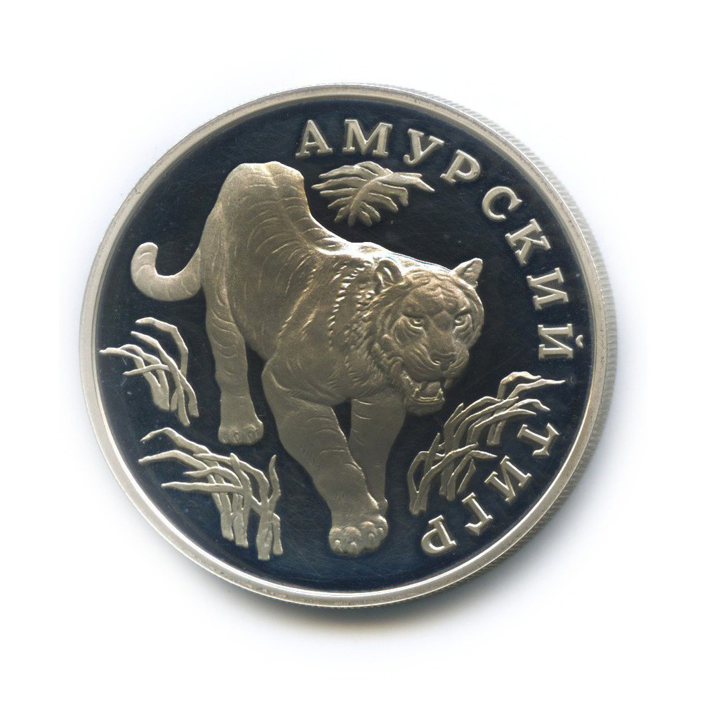 1 рубль 1993 ЛМД — Амурский тигр. Красная книга (капсула вскрывалась)
