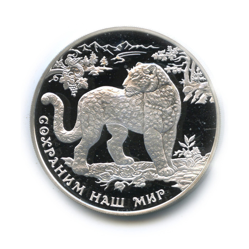 3 рубля 2011 ММД — Переднеазиатский леопард. Сохраним наш мир