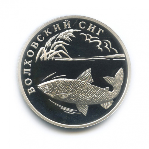 1 рубль — Волховский сиг. Красная книга. 2005
