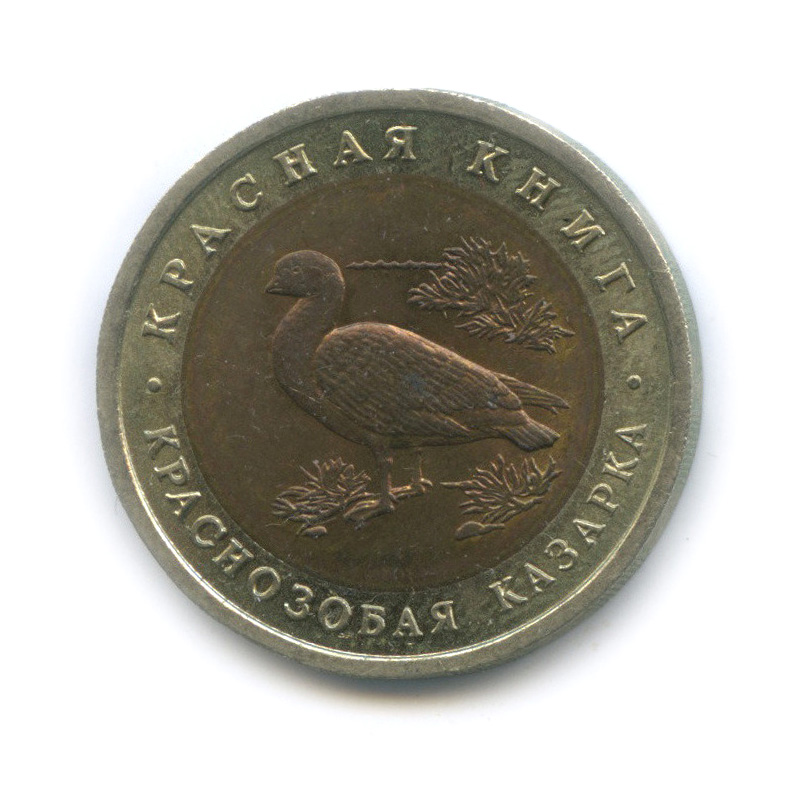 10 рублей 1992 ЛМД — Краснозобая казарка