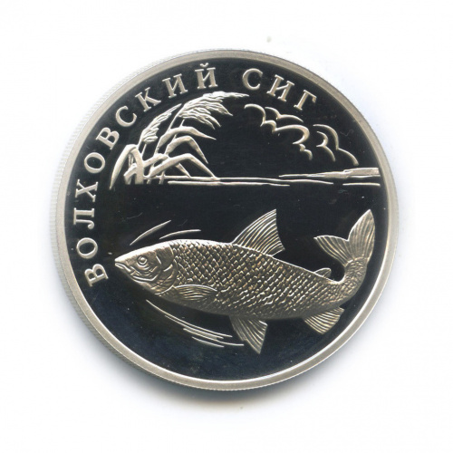 1 рубль — Волховский сиг 2005 СПМД