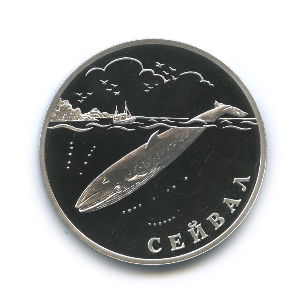 1 рубль 2002 СПМД — Сейвал (кит)