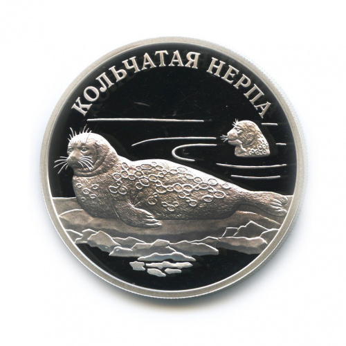 1 рубль — Кольчатая нерпа (ладожский подвид) 2007 СПМД