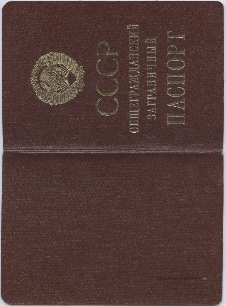 Внешний passport