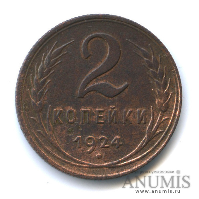 2 копейки 1924 — На Николаевском кружке