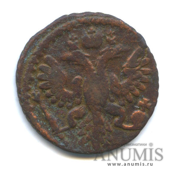 Полушка (¼ копейки) 1734 — (¼ копейки) - Орел 1730 г. Розетка нового рисунка, гурт шнур, Биткин #339 (Орел 1730 г.)
