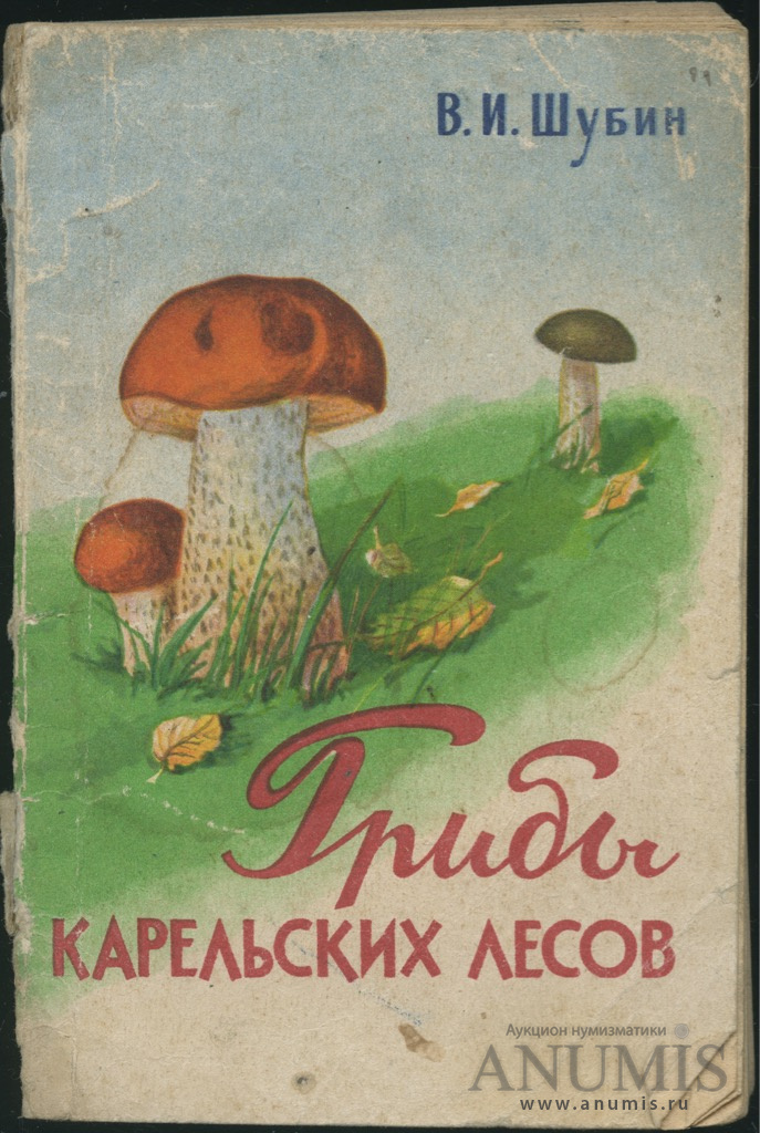 Книга про грибы. Советская книга про грибы. Грибы книга СССР. Грибы на асфальте книга.