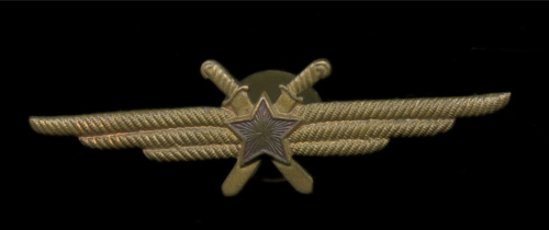 Знак «Летный техник ВС СССР»