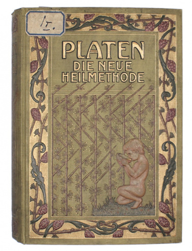 Книга «Platen Die Neue Heilmethode», с иллюстрациями, 22,5×17×5,5 см