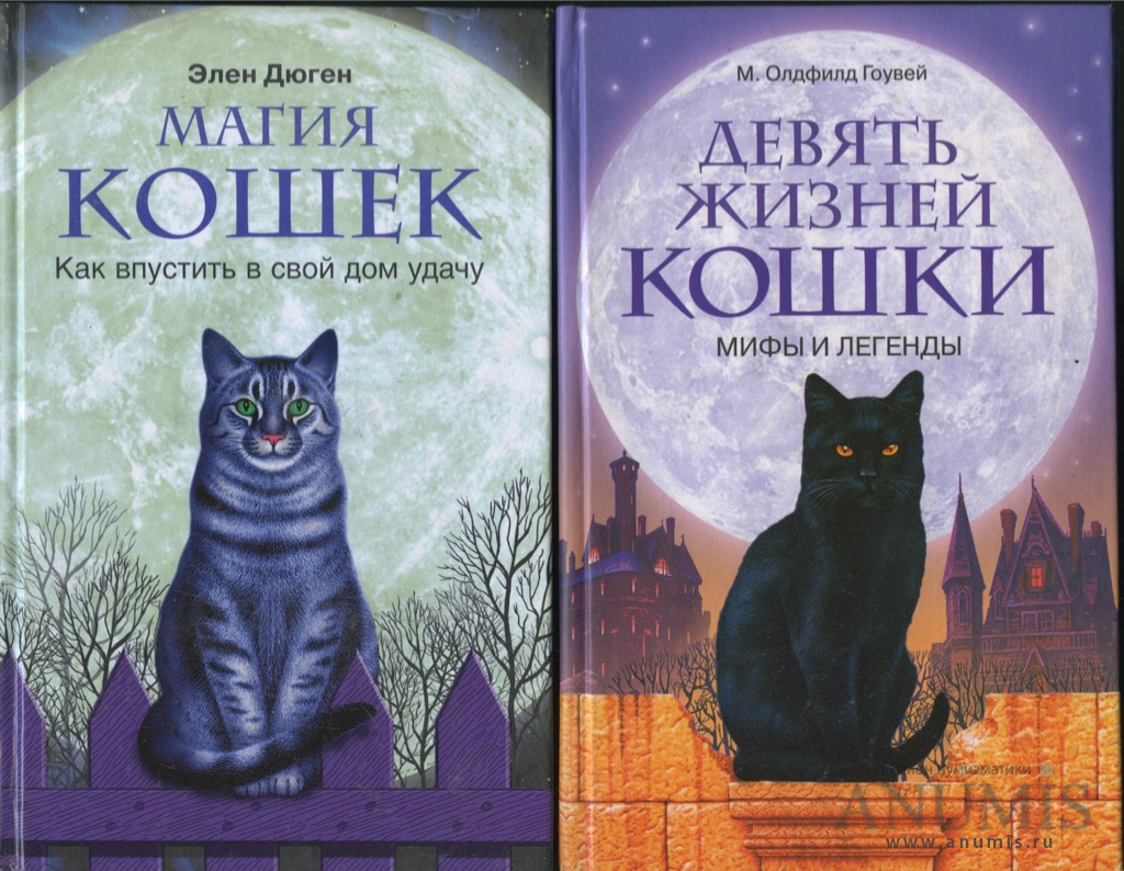 Лот книг «М. Олдфилд Гоувей. Девять жизней кошки. Мифы и легенды» — 271  стр, «Элен Дюген. Магия кошек. Как впустить в свой дом удачу» — 153…