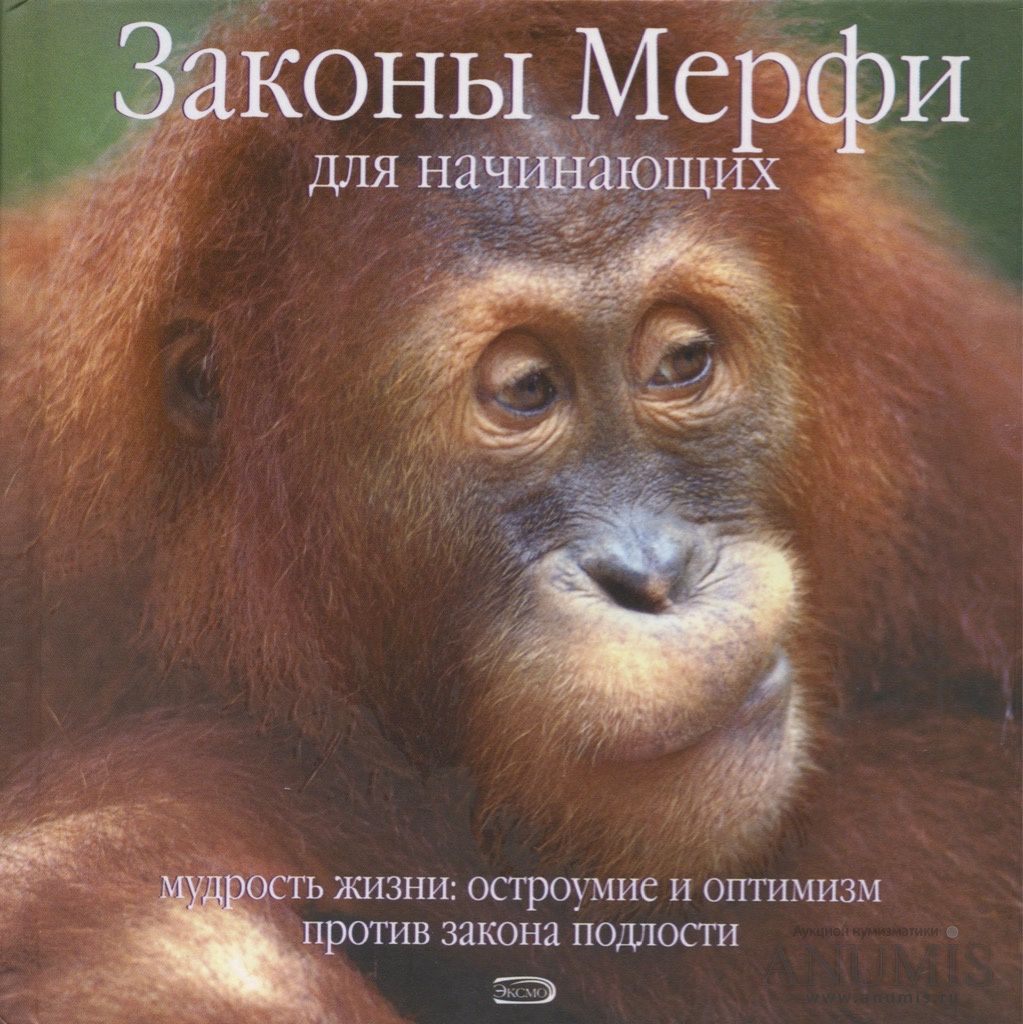 Мудрость для начинающих. Мудрые мысли и высказывания. Мудрость для начинающих. Мудрость жизни для души. Мудрый старец.