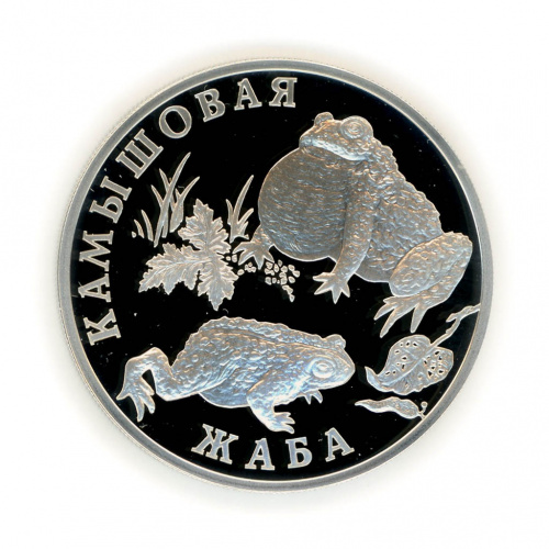 1 рубль — Камышовая жаба 2004 СПМД