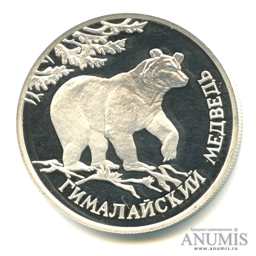 1 рубль 1994 ЛМД — Гималайский медведь