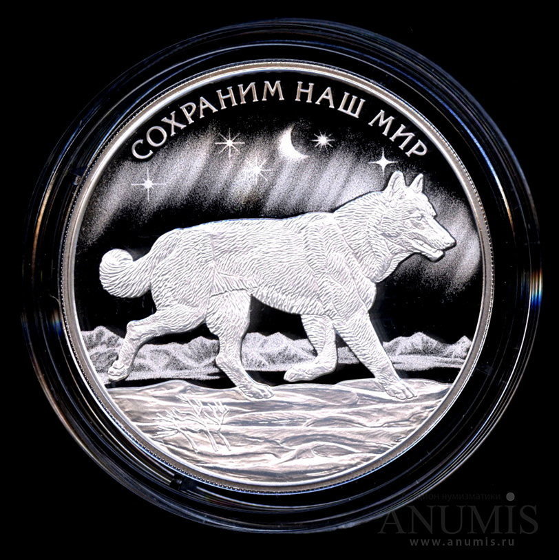 удачный ооо полярный волк. полярный волк. полярный волк. ик no 3 полярный волк. арктический волк чукотки.