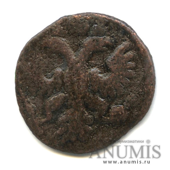Полушка 1735 — (¼ копейки) - Орел 1730 г (Орел 1730 г.)