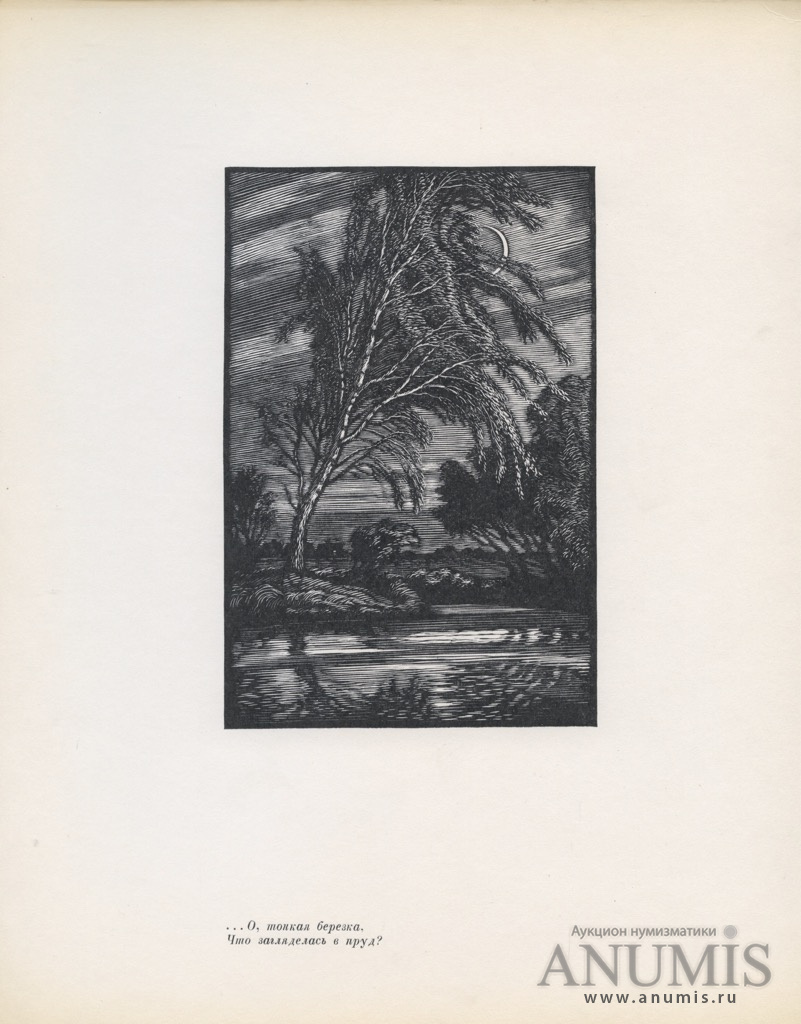 Гравюра «О, тонкая березка, что загляделась в пруд?». Ф. А. Константинов.  Размер 22×28 см