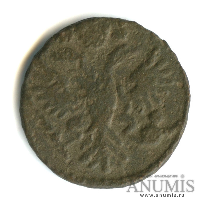 Деньга (½ копейки) 1731 — (½ копейки) - Орел 1730 г. Розетка из 4 лепестков. R (Розетка из 4 лепестков)