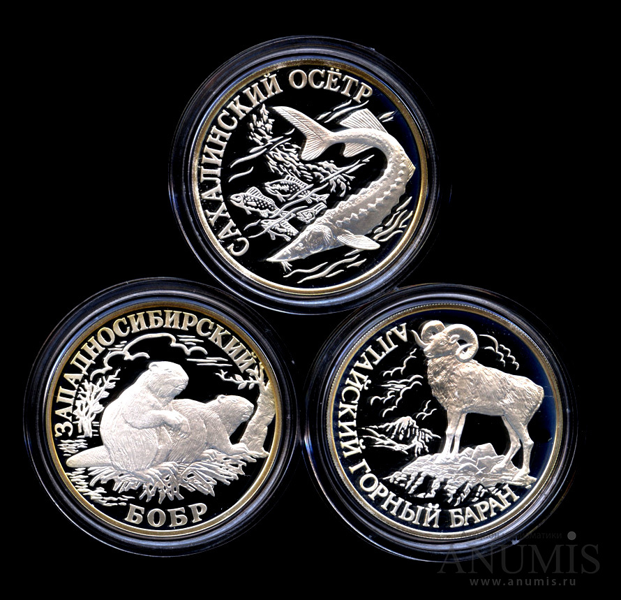 Комплект монет 1 рубль, серия «Красная книга» «Сахалинский осётр ...