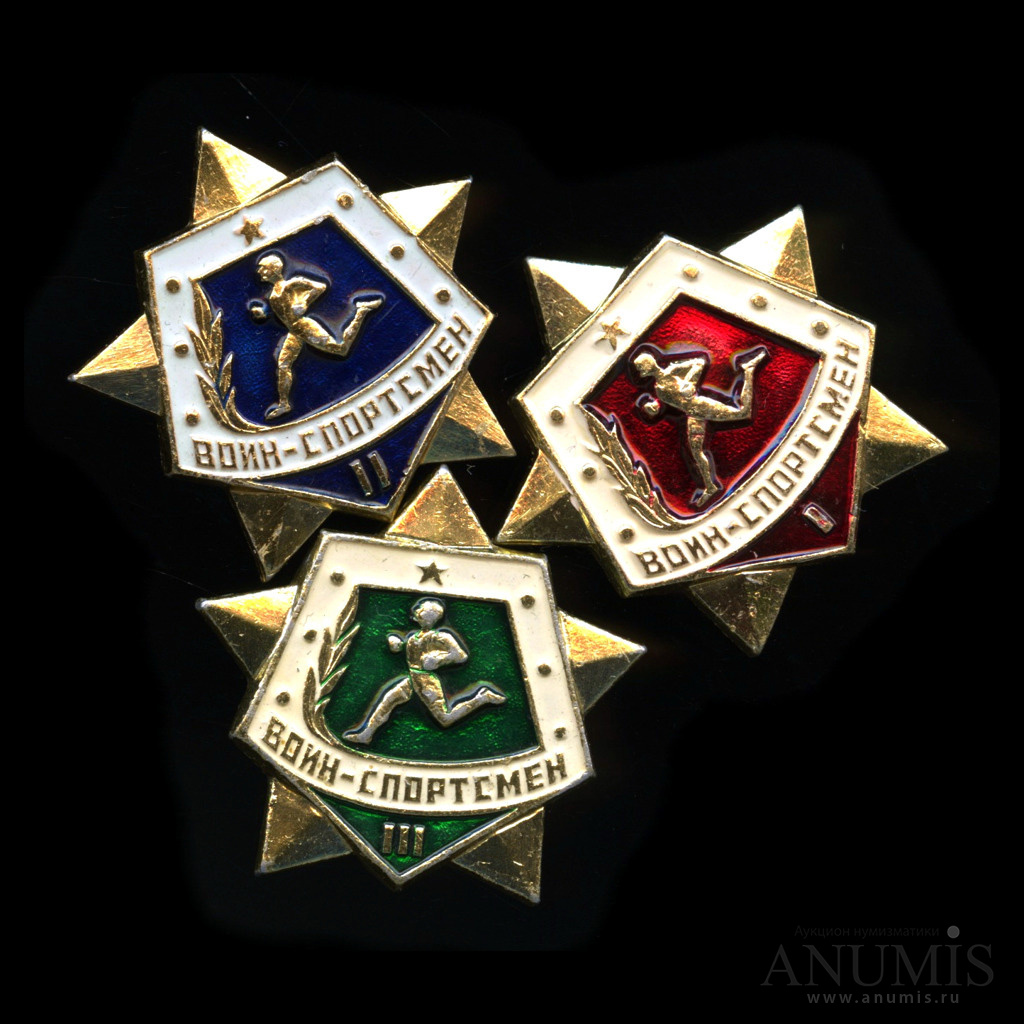 Воин спортсмен 2. Воин-спортсмен 1 степени.