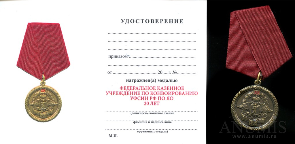 Казенные учреждения фсин. Юбилейные медали ФСИН. Медаль ФСИН за 20 лет службы. Медаль ФСИН за добросовестную службу.