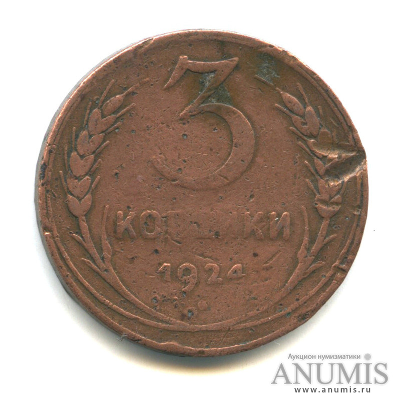 3 копейки 1924 — Гурт гладкий