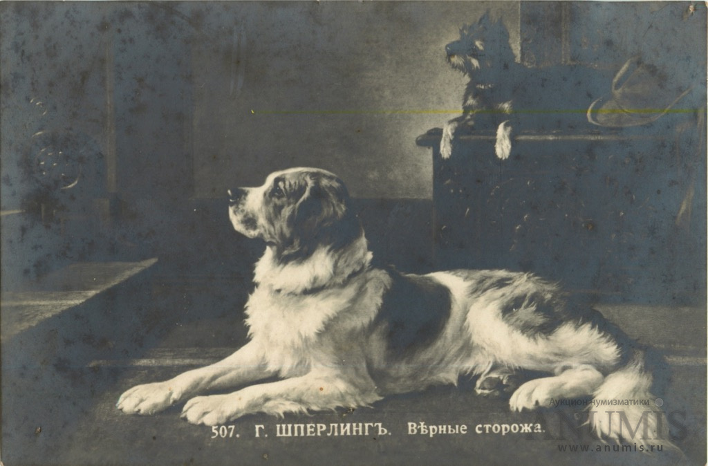 Верные сторожа. Sperling Postcard. H.Sperling. Шперлинг с.Петербург 1861.