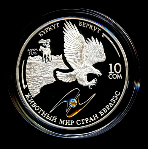 10 сомов — Беркут. Животный мир стран ЕврАзЭС. — Специальное исполнение 2009