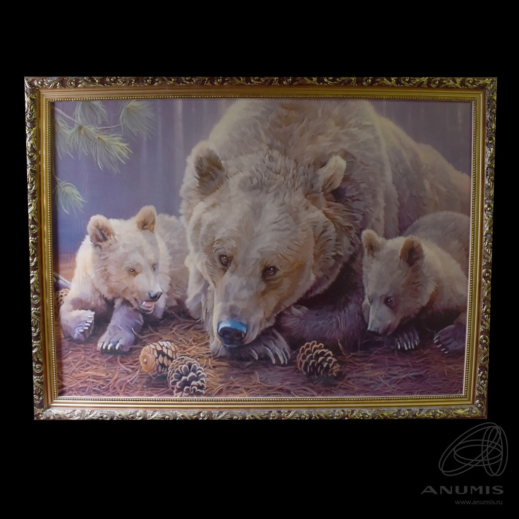 Рисунки медведя карандашом для детей (38 фото) 🔥 Прикольные картинки и юмор