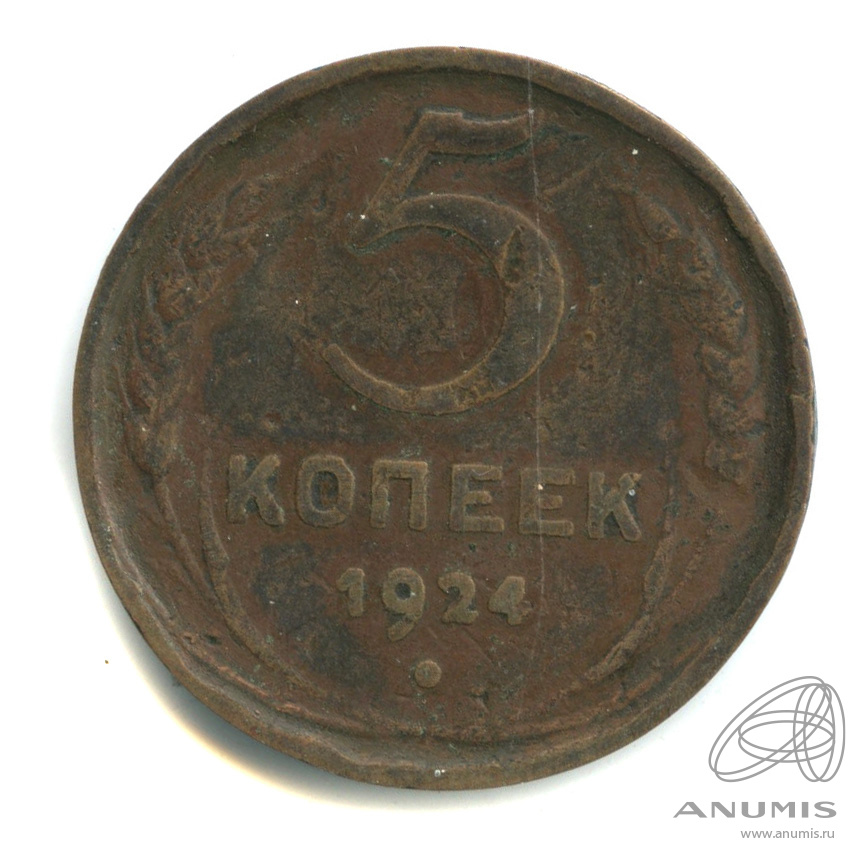 5 копеек 1924 — Гурт гладкий. На Николаевском кружке. Земной шар выпуклый (Земной шар выпуклый)