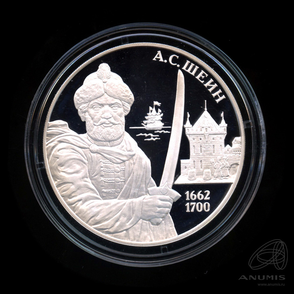 3 рубля 2013 ММД — А.С. Шеин. В капсуле