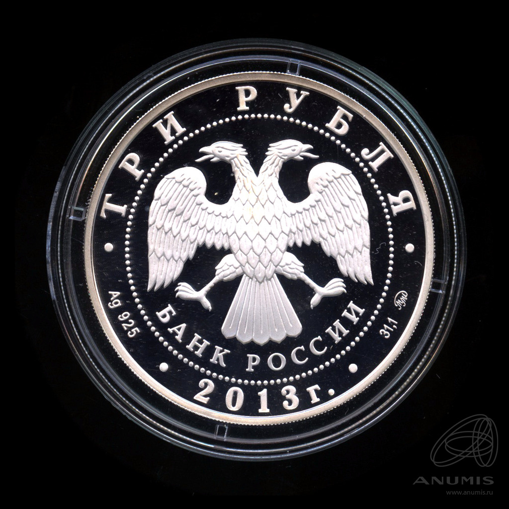 3 рубля 2013 ММД — А.С. Шеин. В капсуле