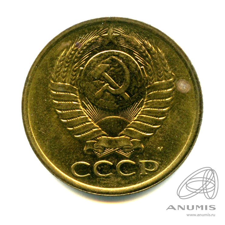 5 копеек 1991 М — Яркий штемпельный блеск - Пятна М