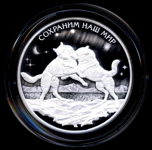 25 рублей — Полярный волк — В капсуле, с сертификатом. Банковская сохранность монеты 2020 СПМД